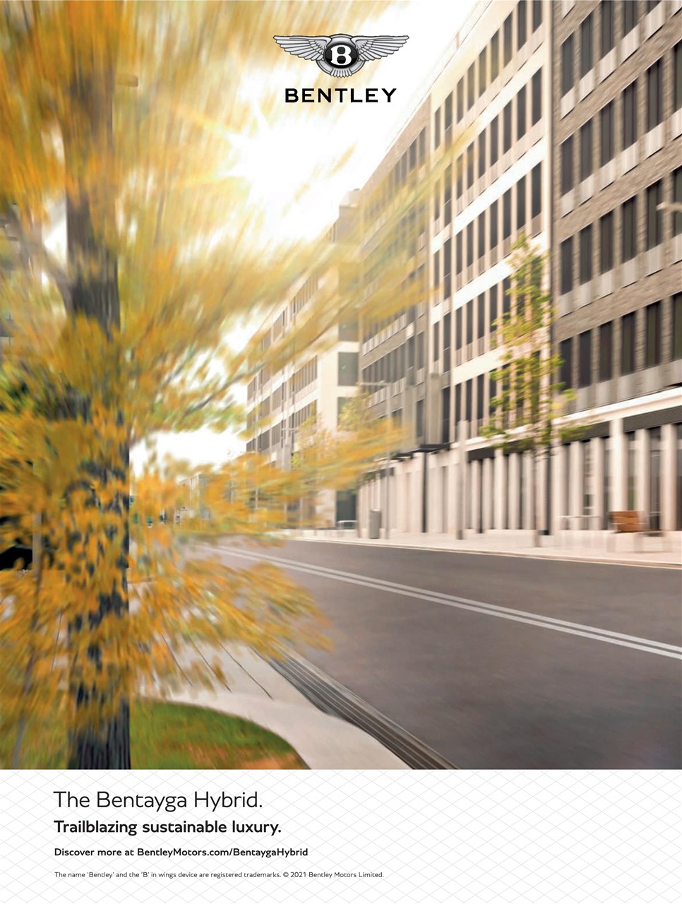 Attitude Preview Pages