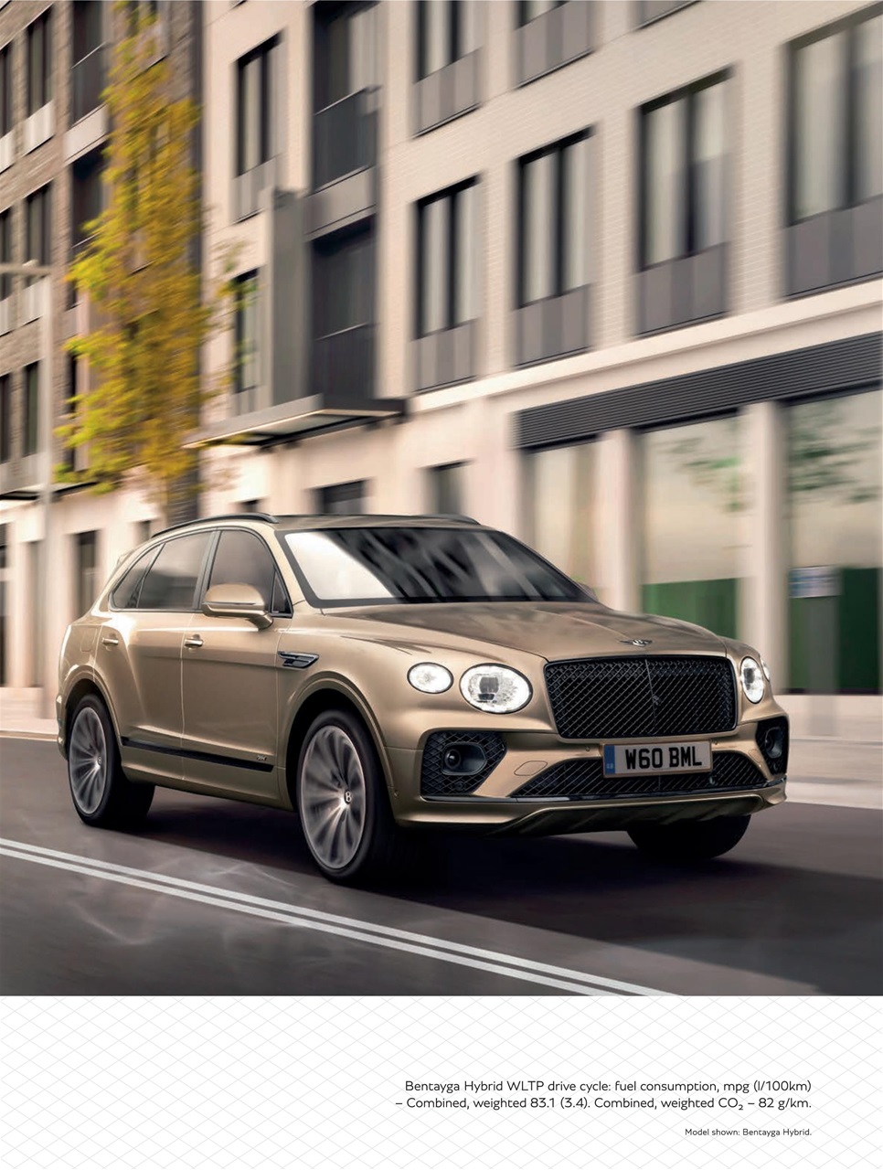 Attitude Preview Pages