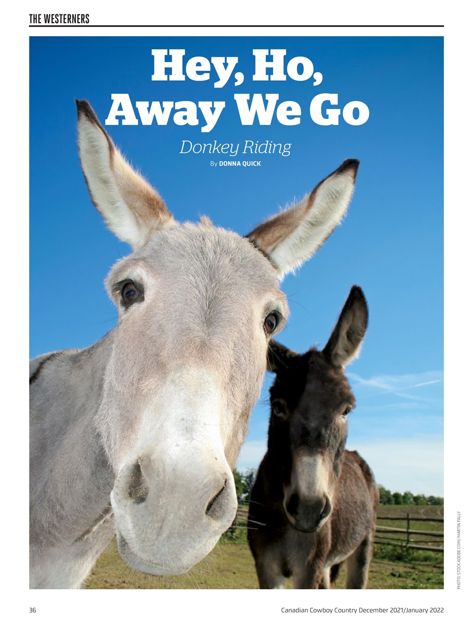 Canadian Cowboy Country Preview Pages