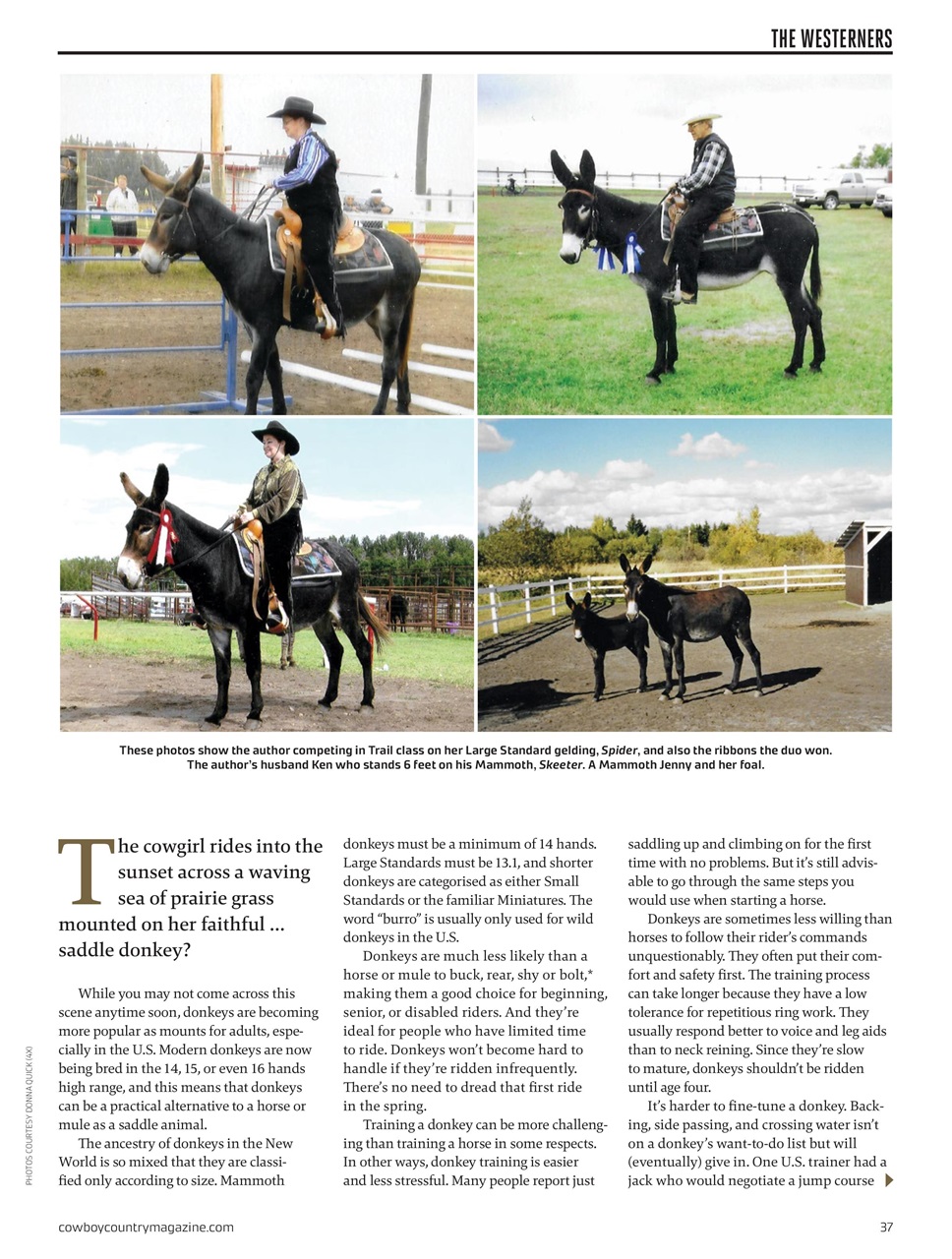 Canadian Cowboy Country Preview Pages