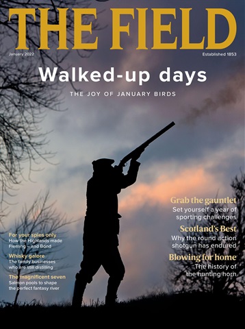 The Field issue Jan-22