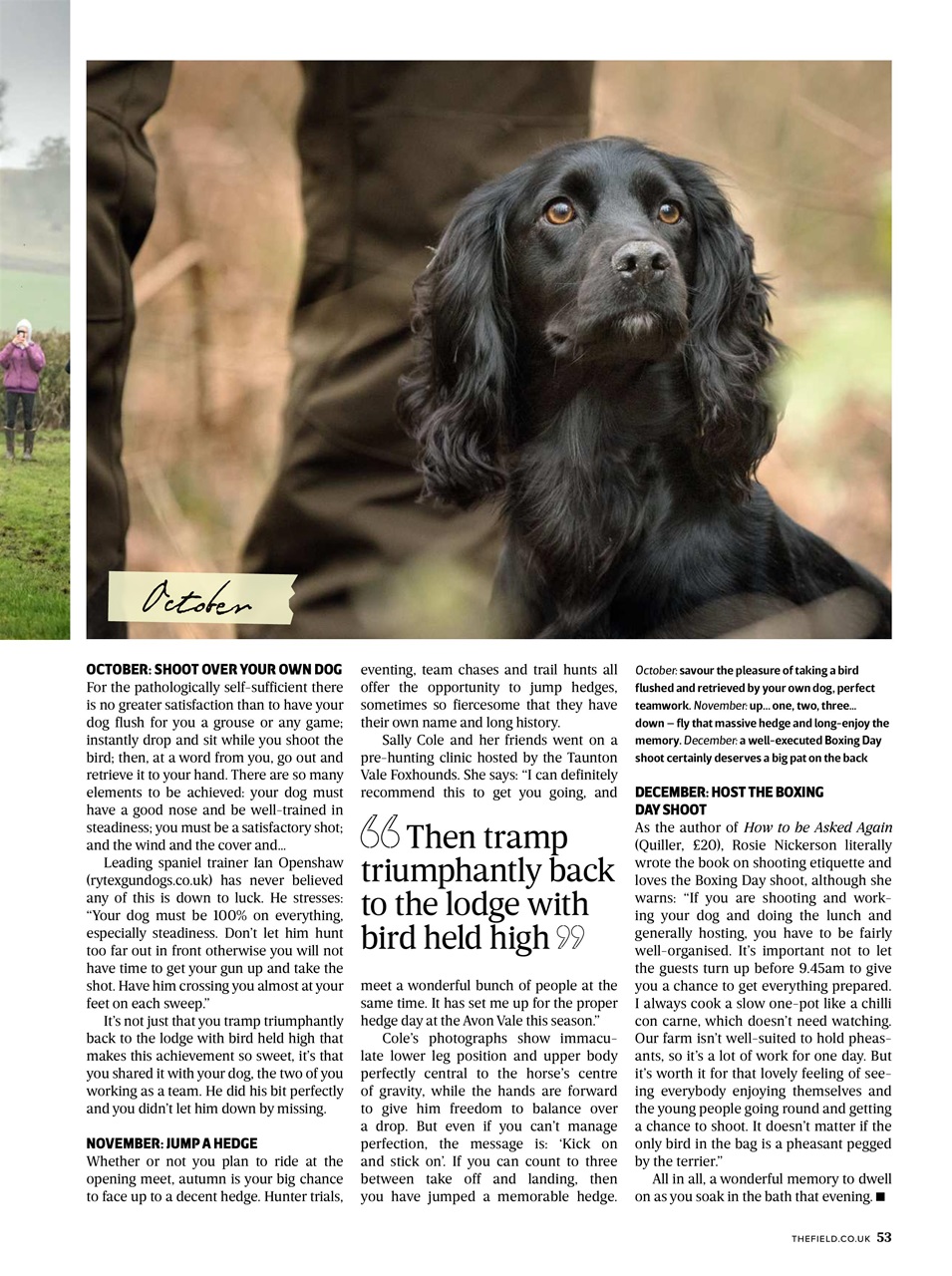 The Field Preview Pages