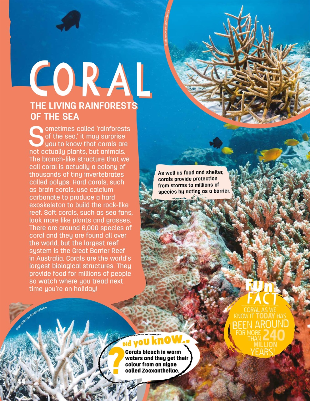 Creative Bookazine Preview Pages