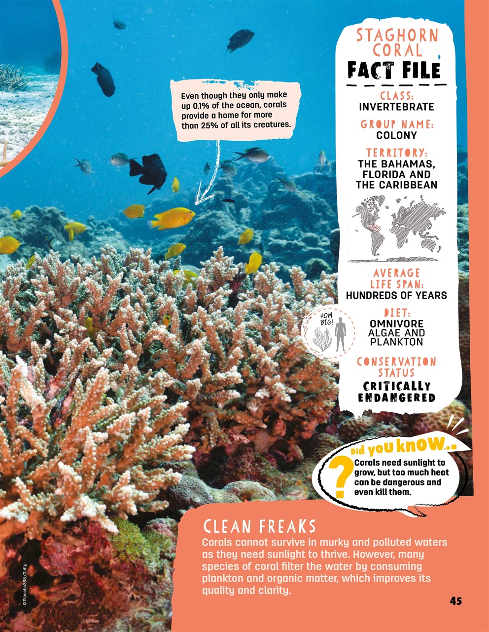 Creative Bookazine Preview Pages