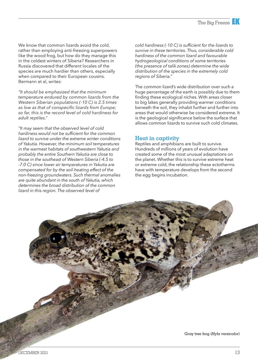 Exotics Keeper Preview Pages