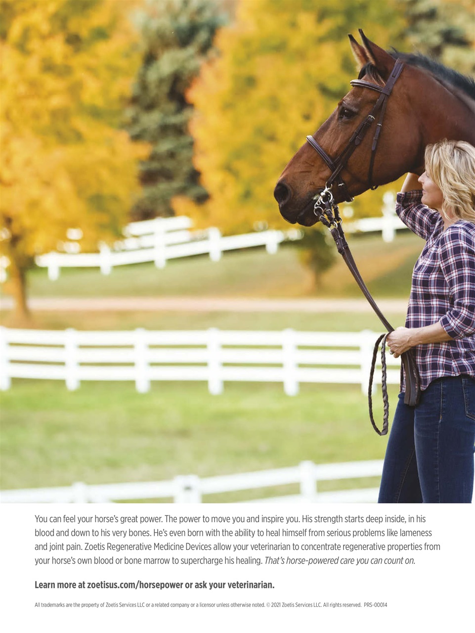 Horse Illustrated Magazine Preview Pages