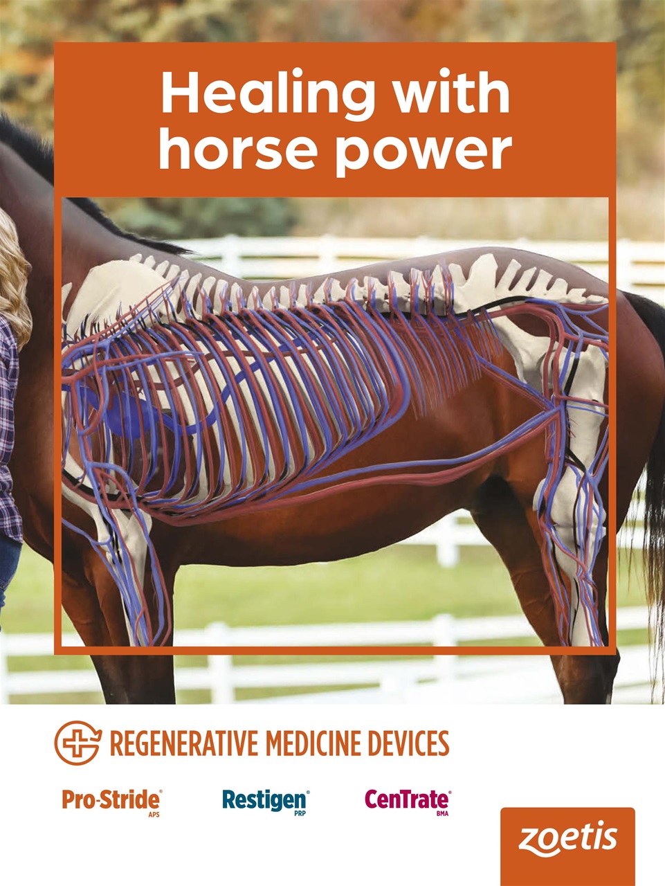 Horse Illustrated Magazine Preview Pages