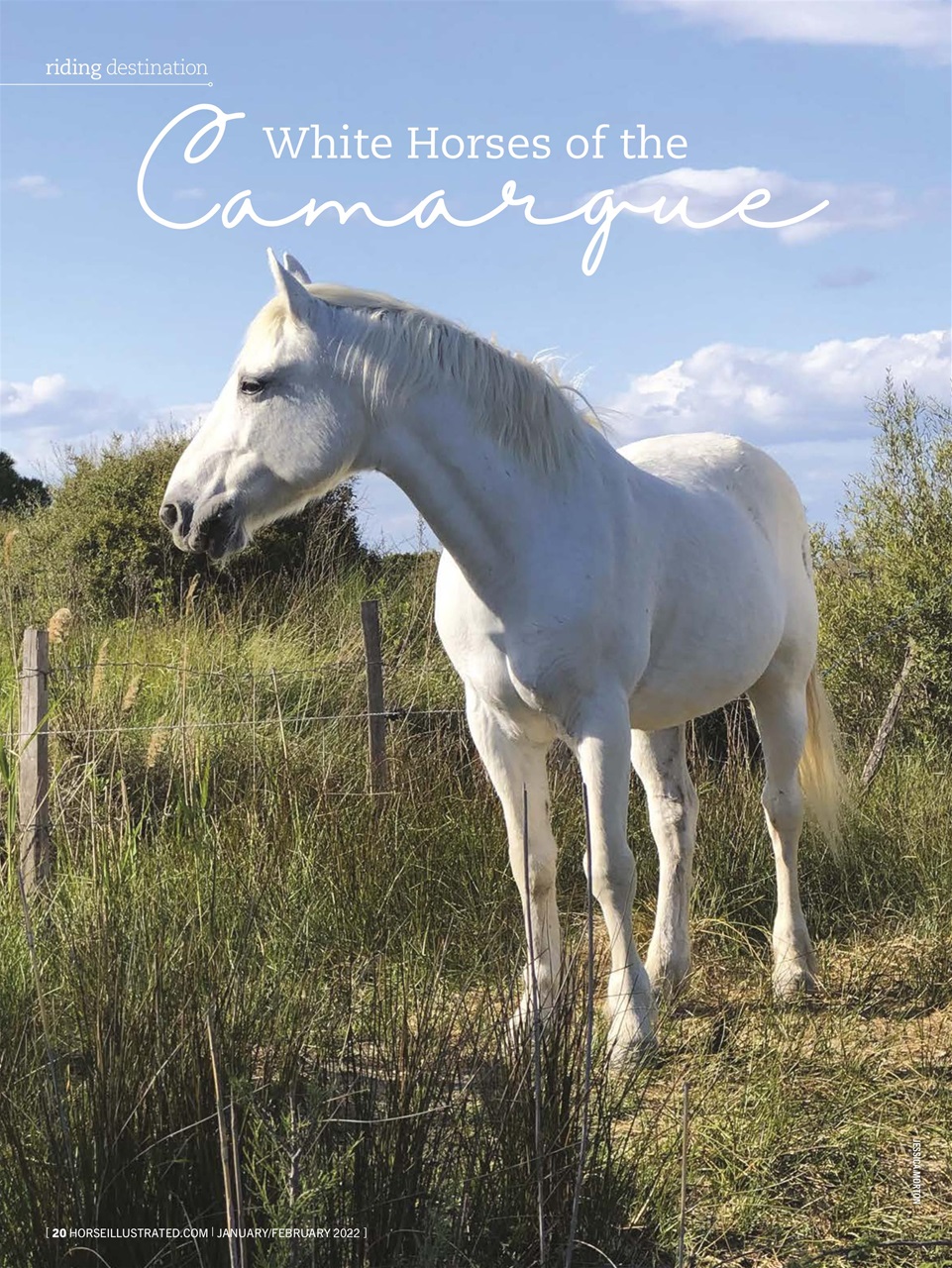 Horse Illustrated Magazine Preview Pages
