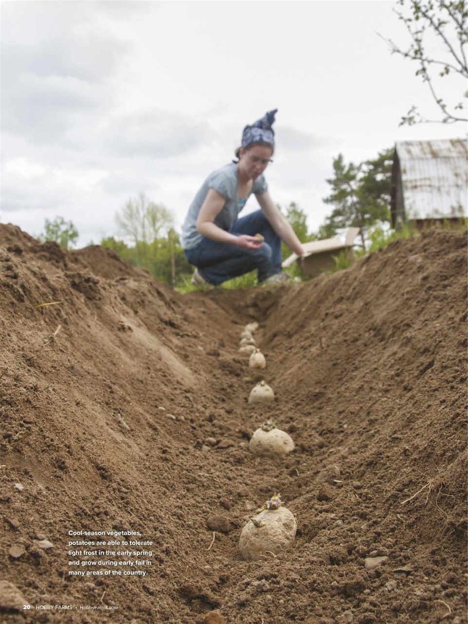 Hobby Farms Magazine Preview Pages