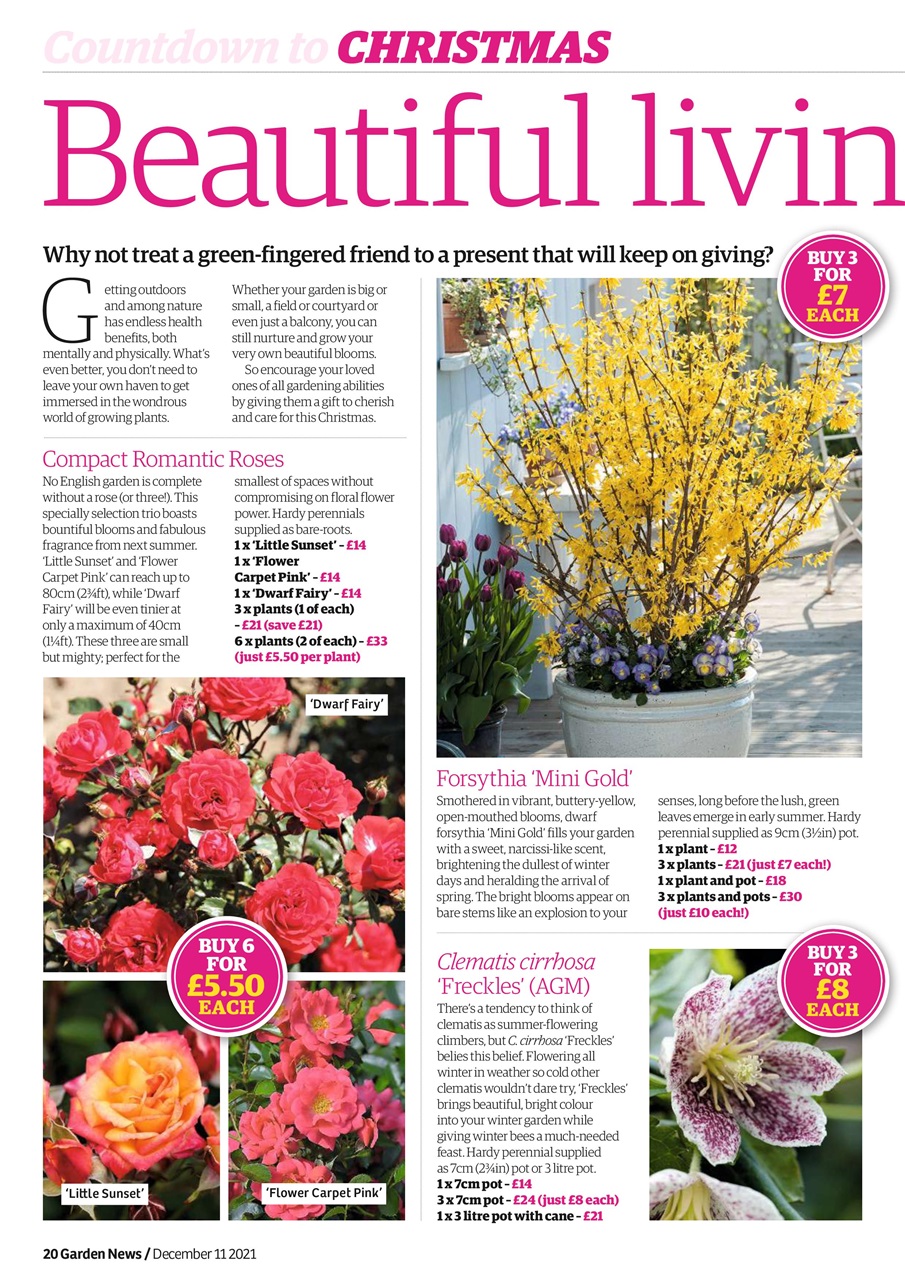 Garden News Preview Pages