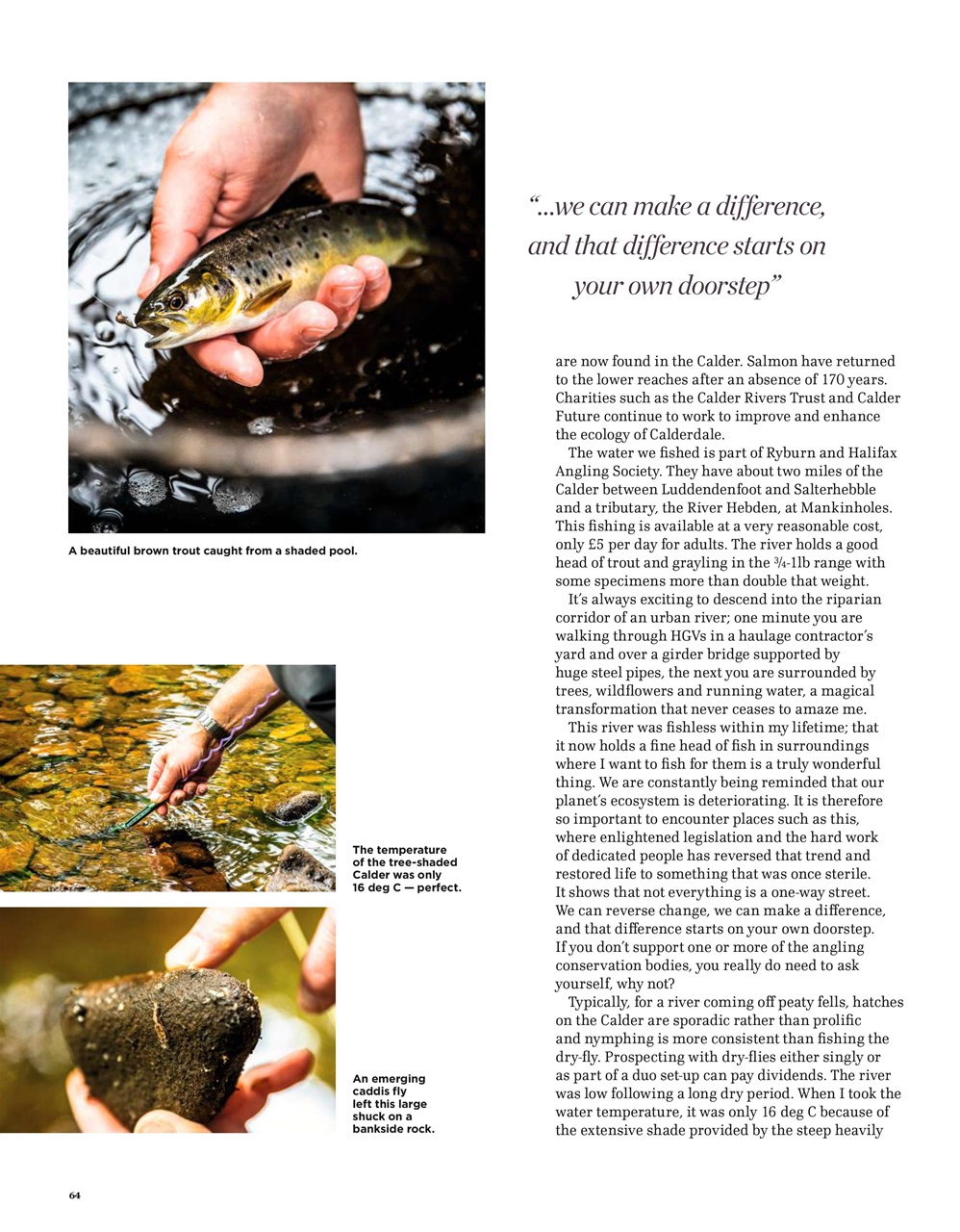 Trout & Salmon Preview Pages