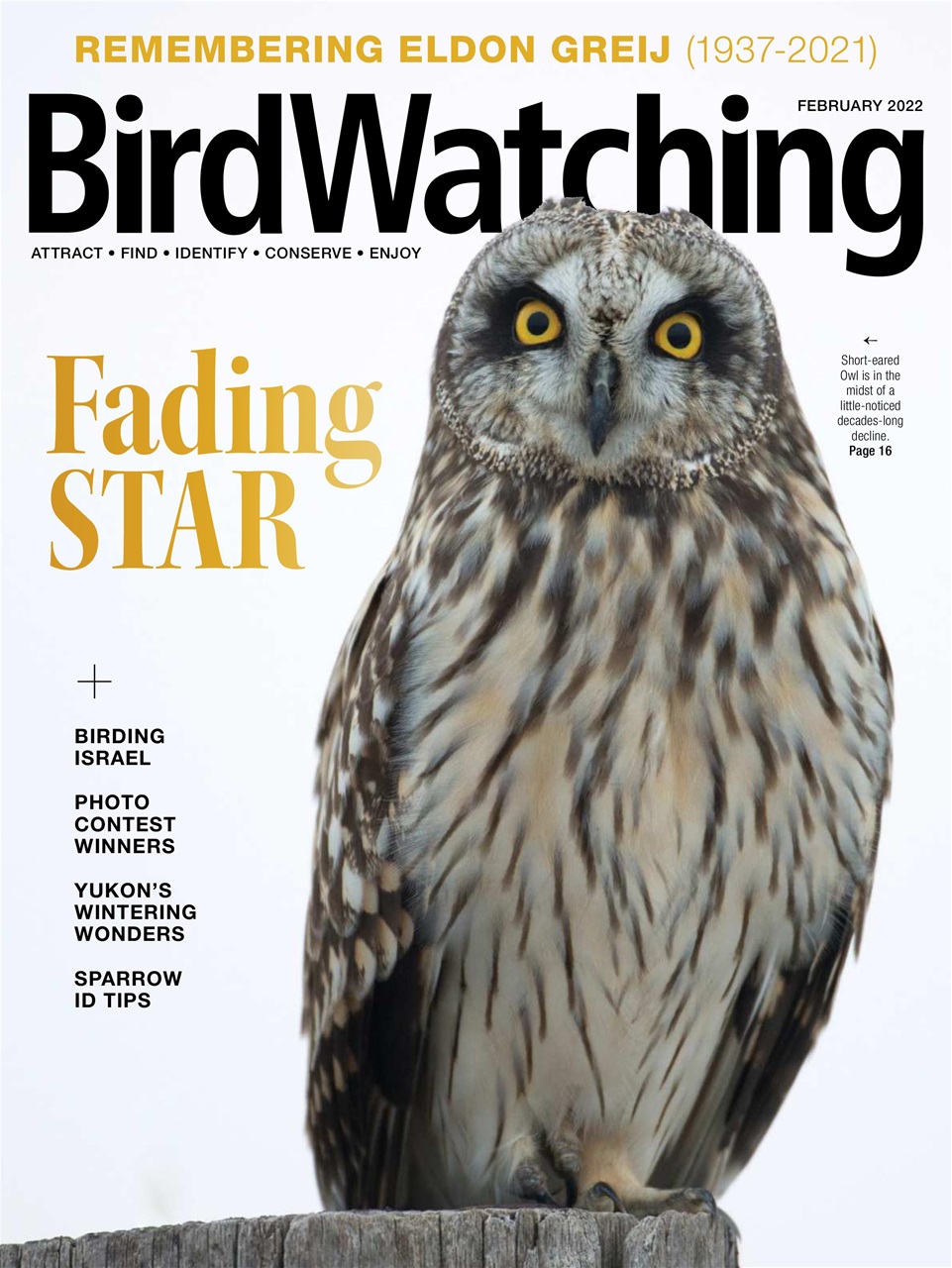 BirdWatching Preview Pages