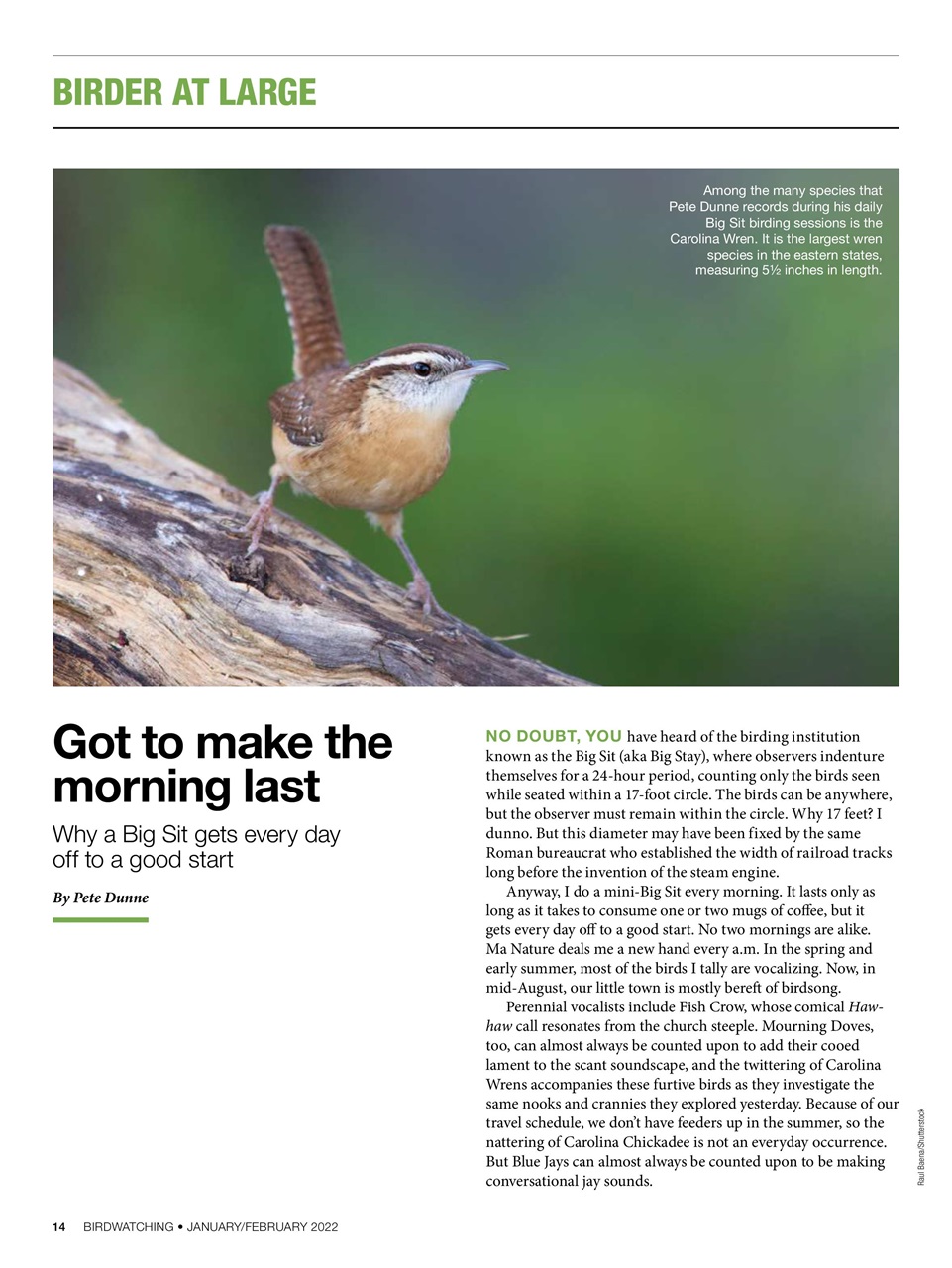 BirdWatching Preview Pages