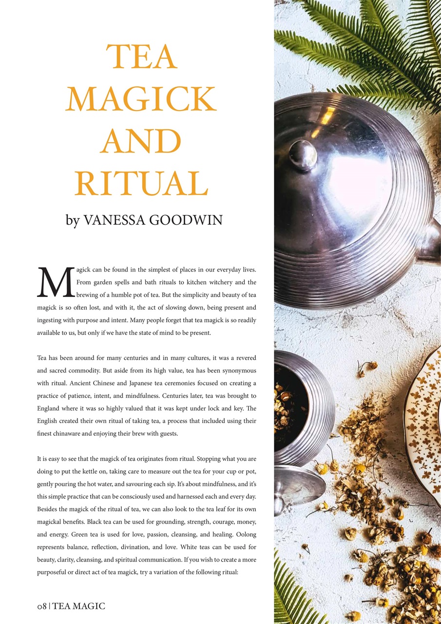 Witchology Magazine Preview Pages