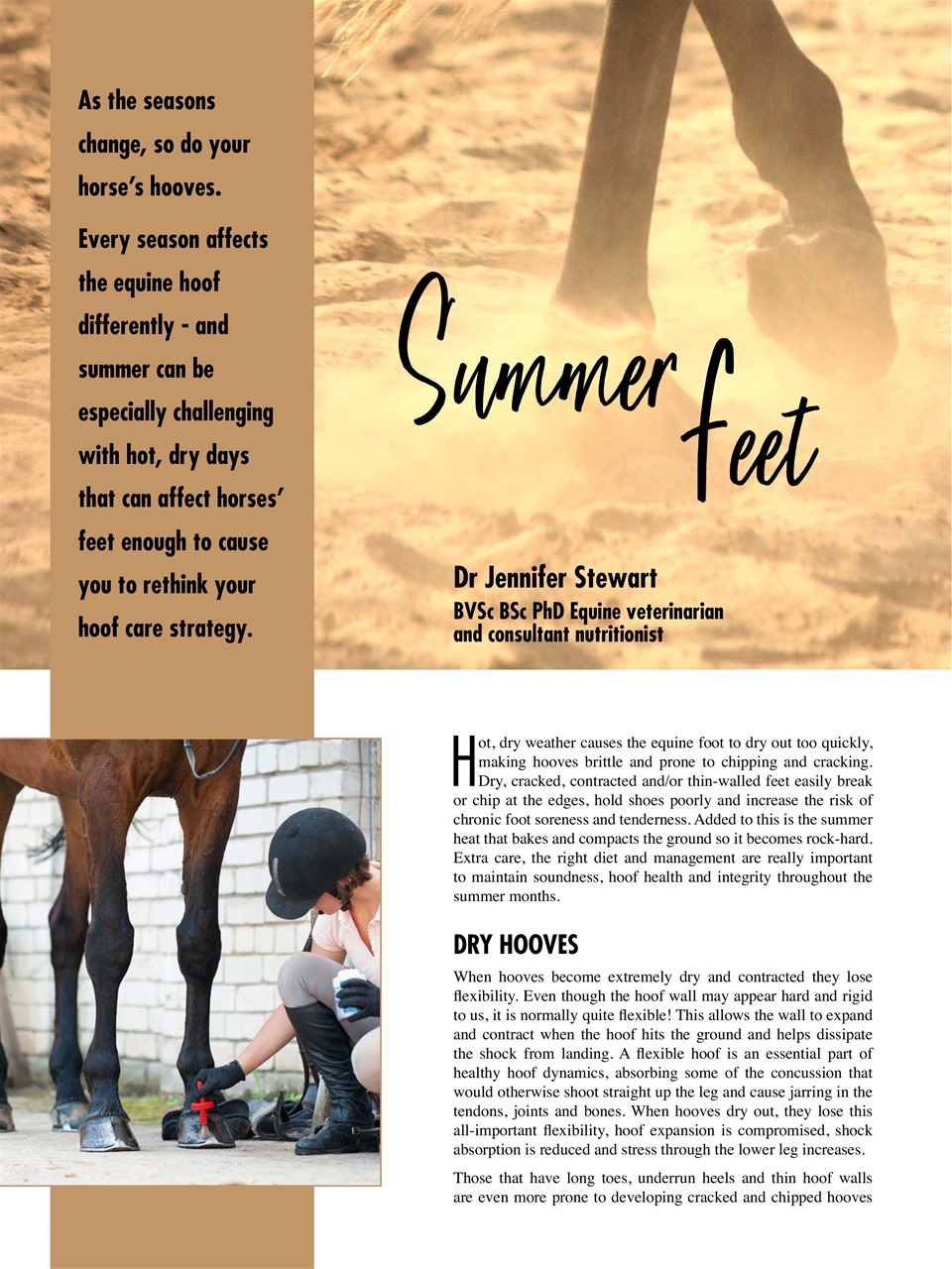 Hoofbeats Preview Pages