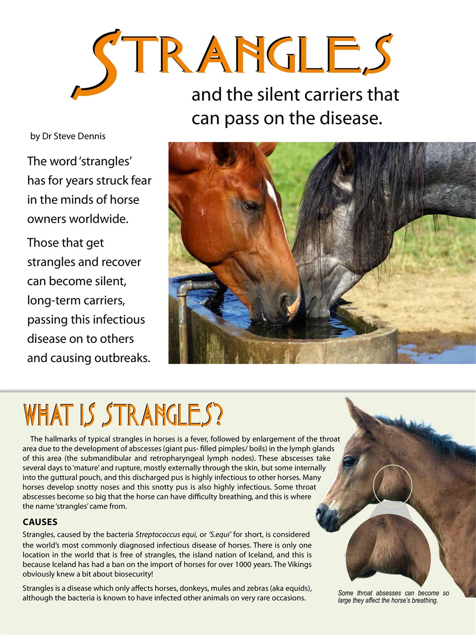 Hoofbeats Preview Pages