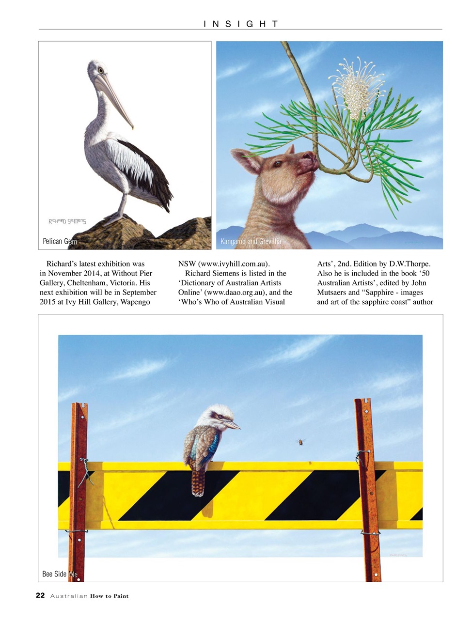 Australian How to Paint Preview Pages