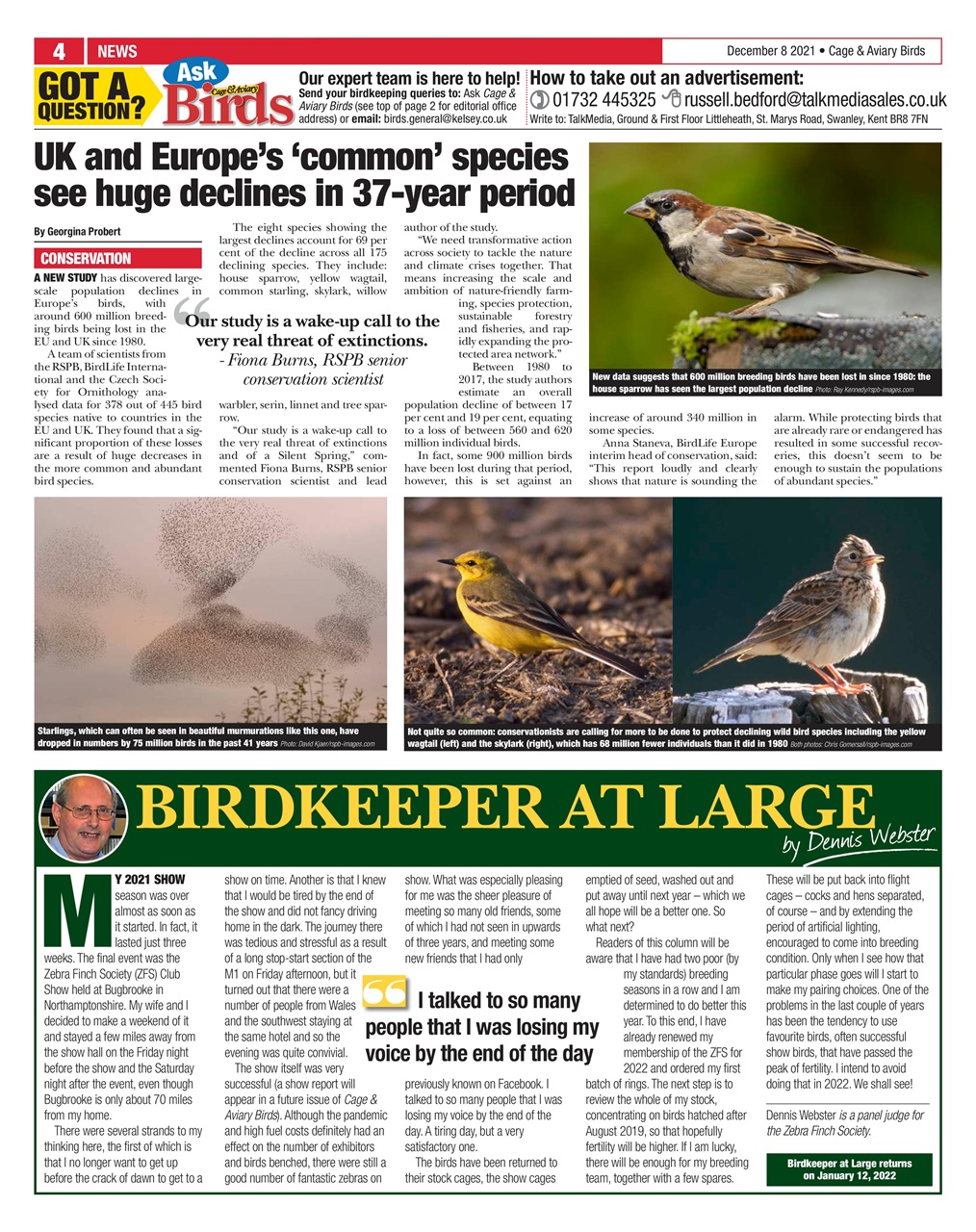 Cage & Aviary Birds Preview Pages