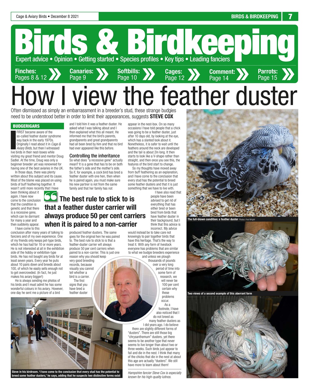 Cage & Aviary Birds Preview Pages
