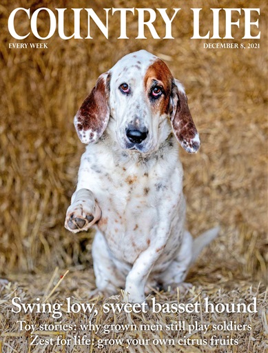 Country Life issue 
