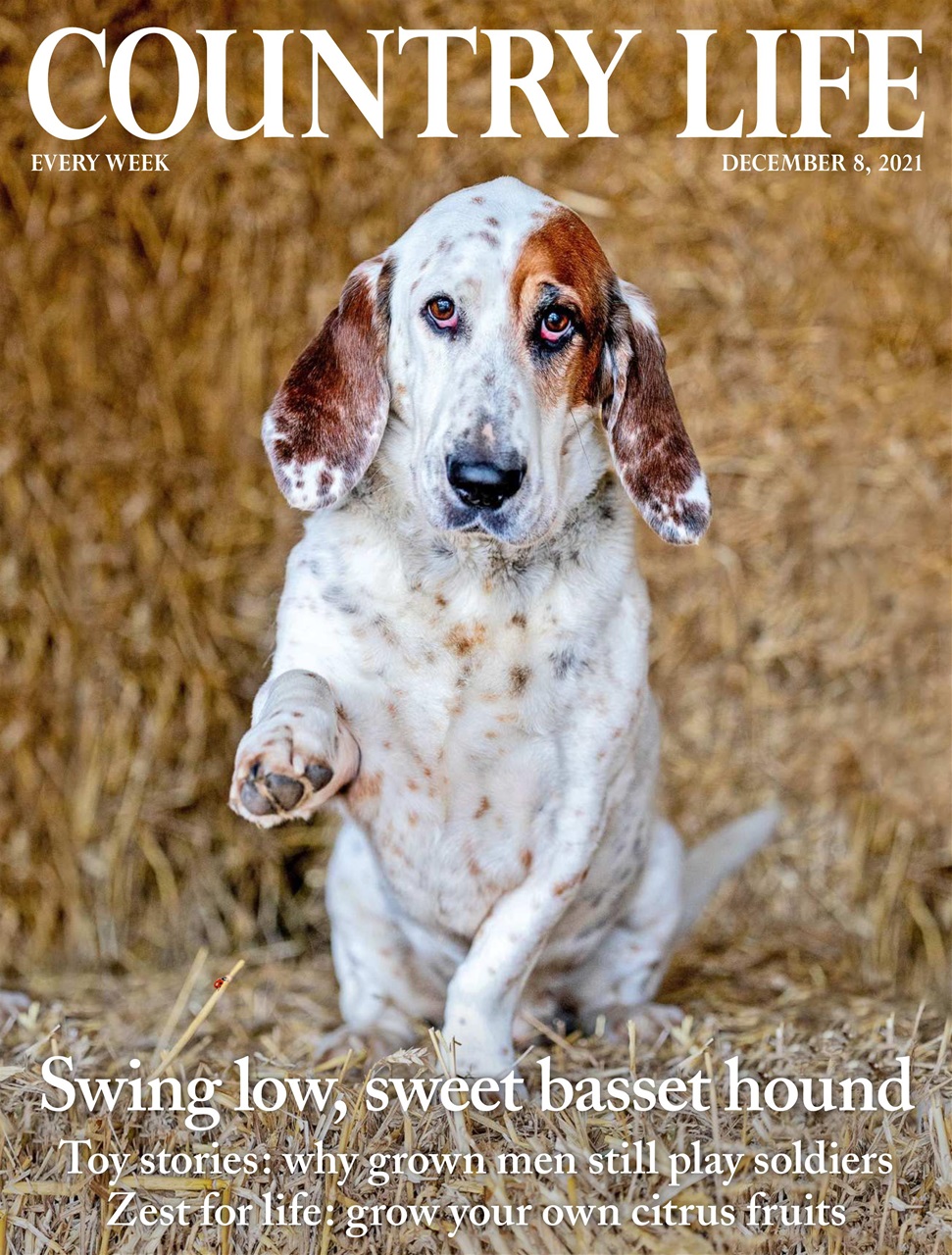 Country Life Preview Pages