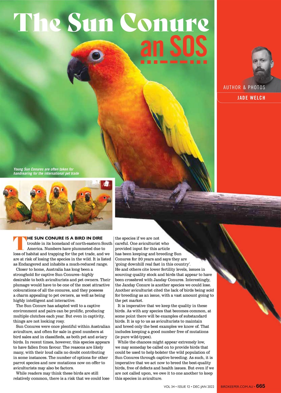 Australian Birdkeeper Magazine Preview Pages