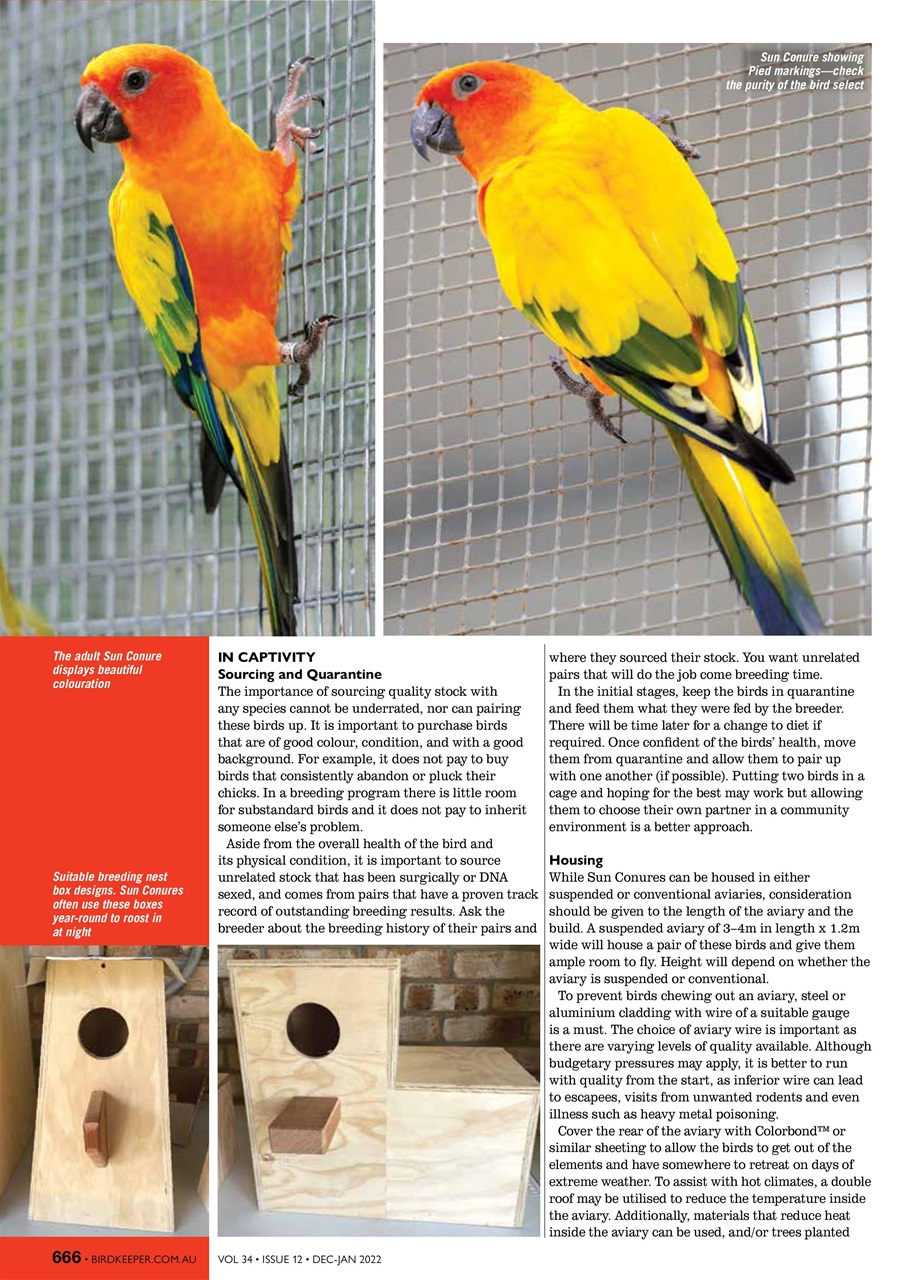 Australian Birdkeeper Magazine Preview Pages
