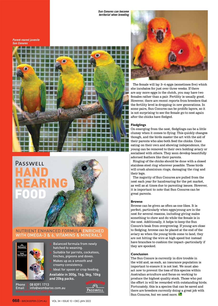Australian Birdkeeper Magazine Preview Pages