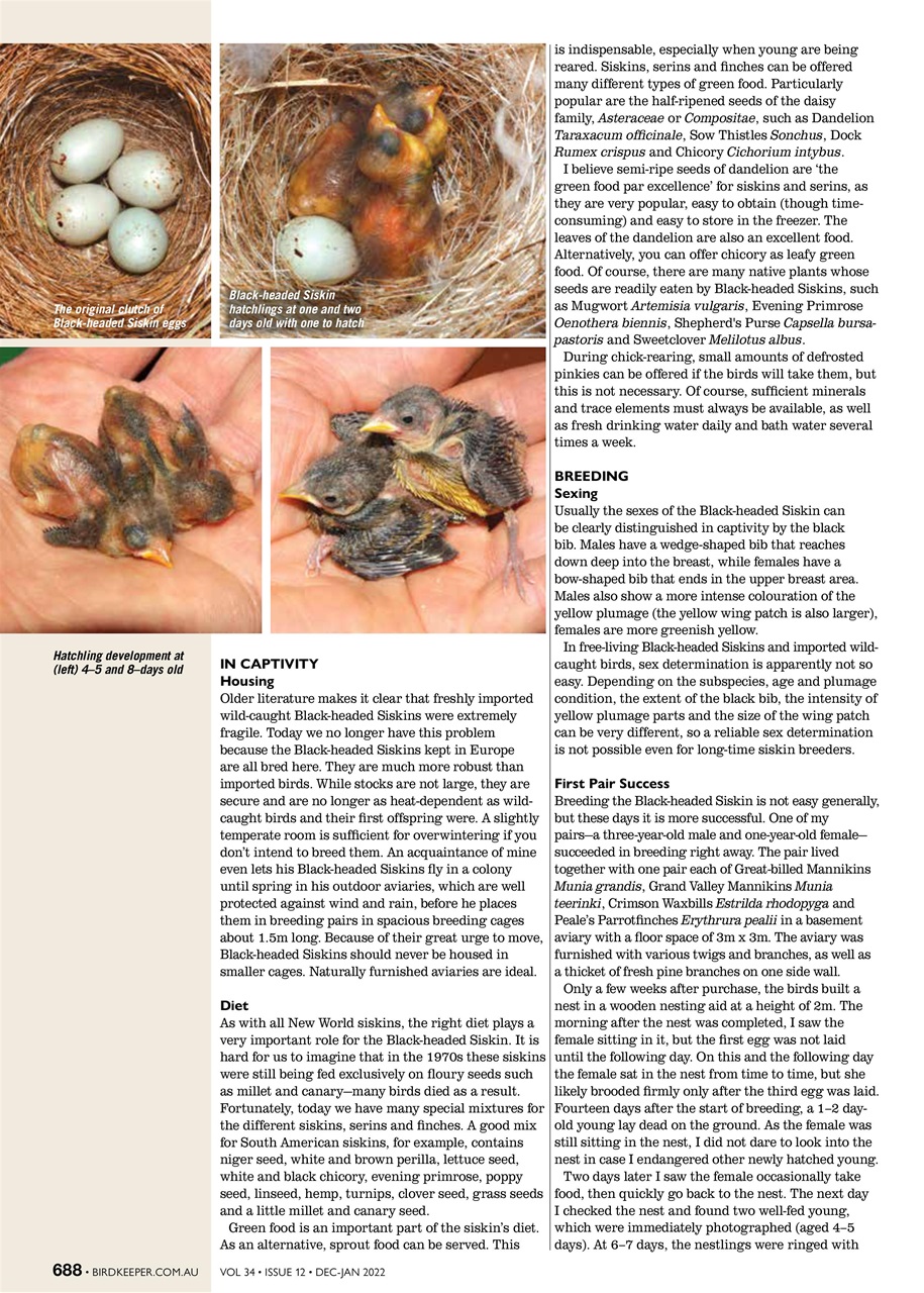 Australian Birdkeeper Magazine Preview Pages