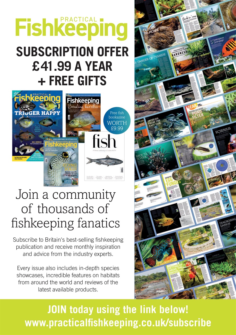 Practical Fishkeeping Preview Pages