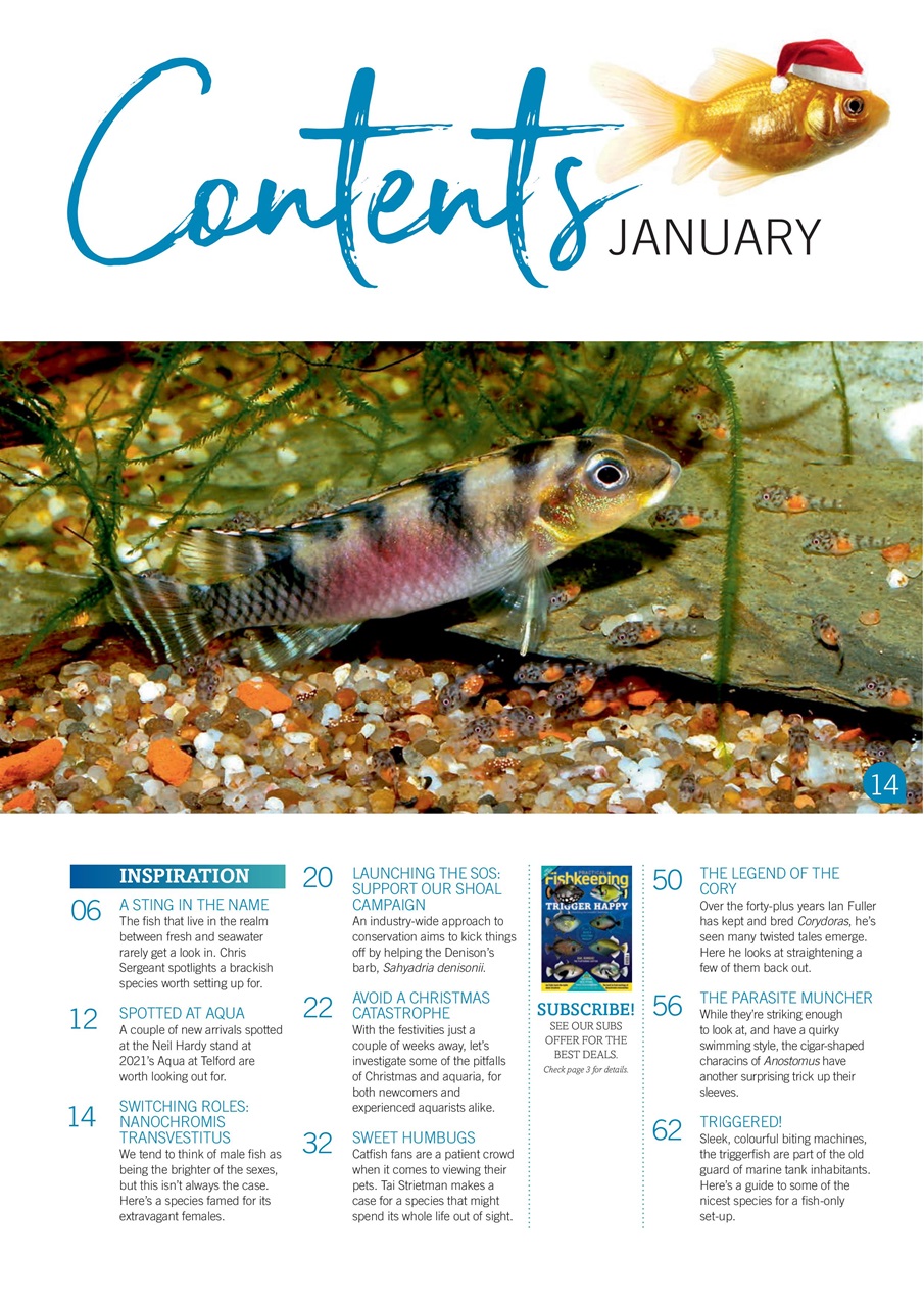 Practical Fishkeeping Preview Pages