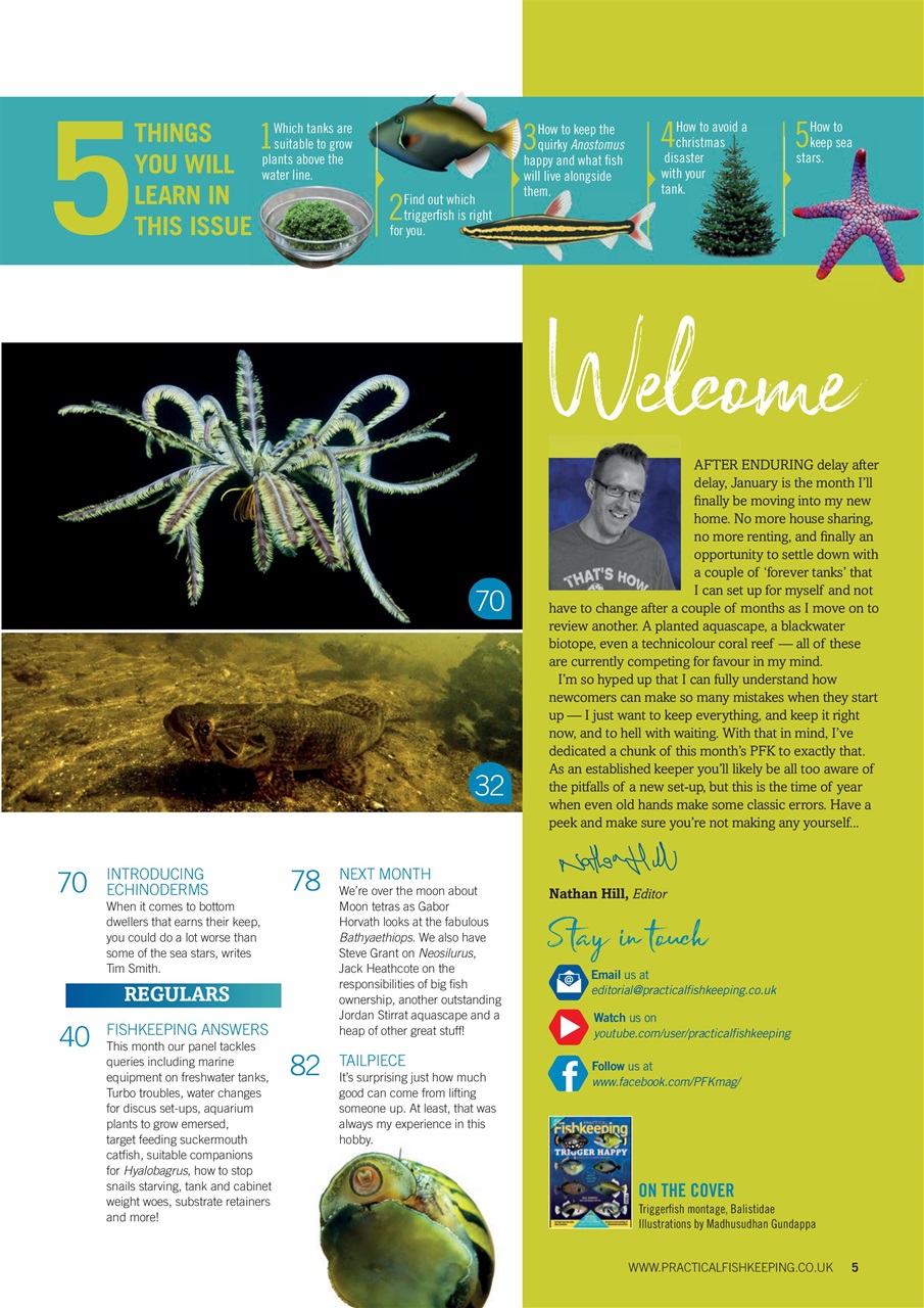 Practical Fishkeeping Preview Pages