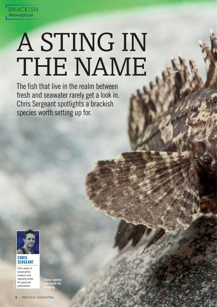 Practical Fishkeeping Preview Pages