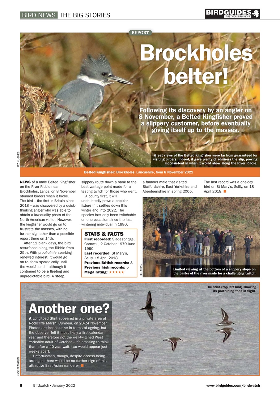 Birdwatch Magazine Preview Pages