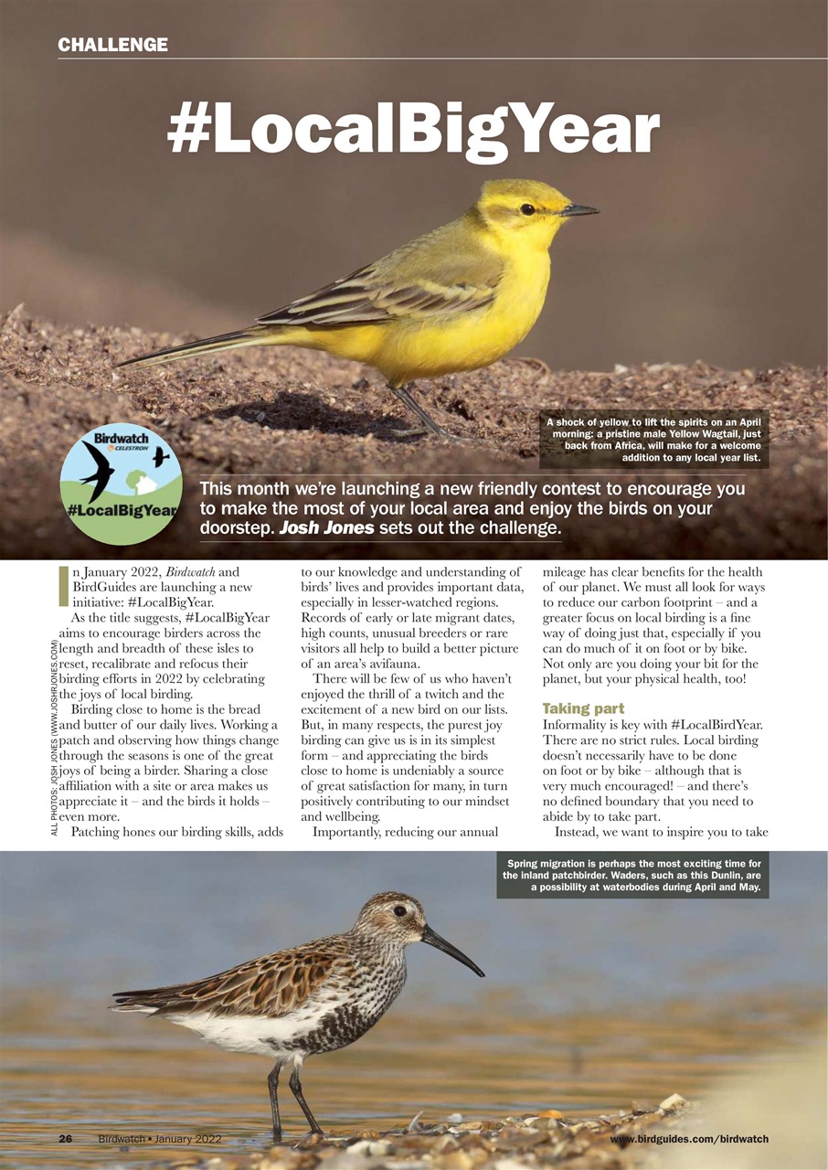 Birdwatch Magazine Preview Pages
