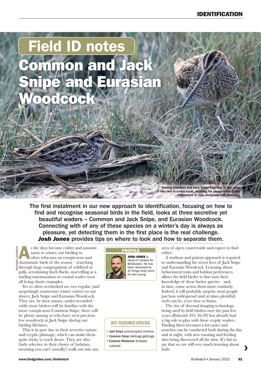 Birdwatch Magazine Preview Pages