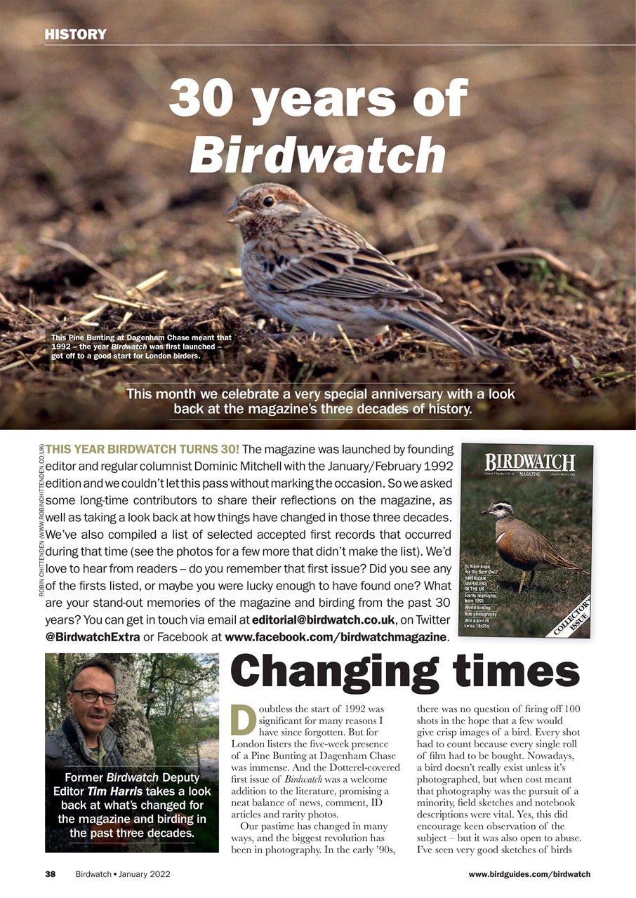 Birdwatch Magazine Preview Pages