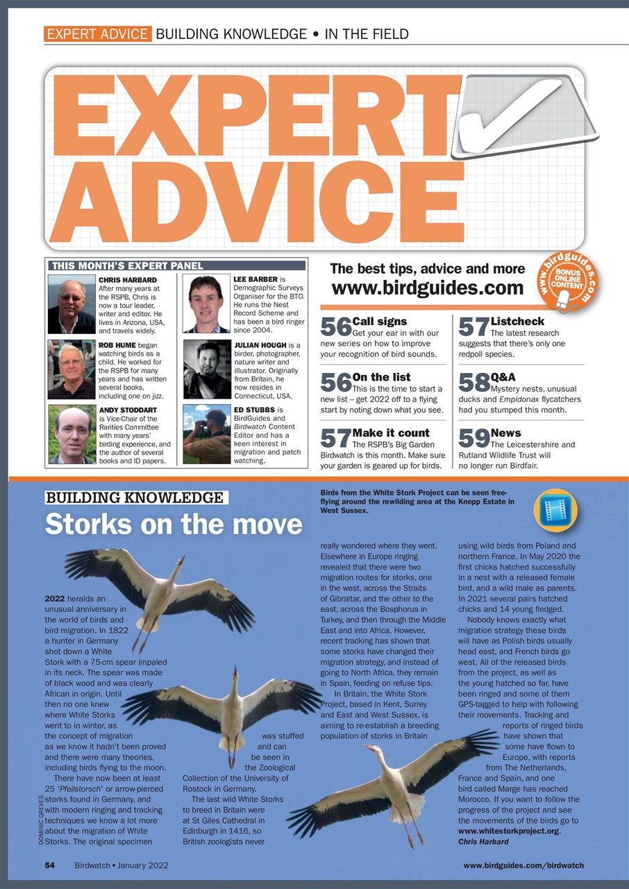 Birdwatch Magazine Preview Pages