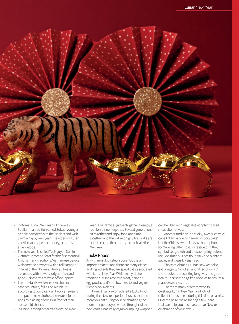 PlantBased Preview Pages