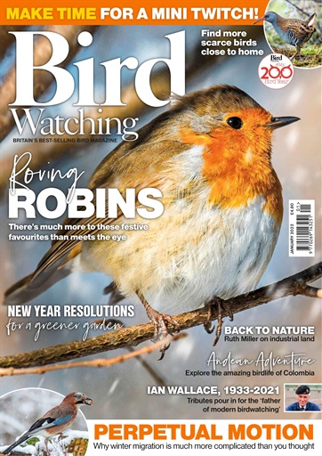 Bird Watching issue 
