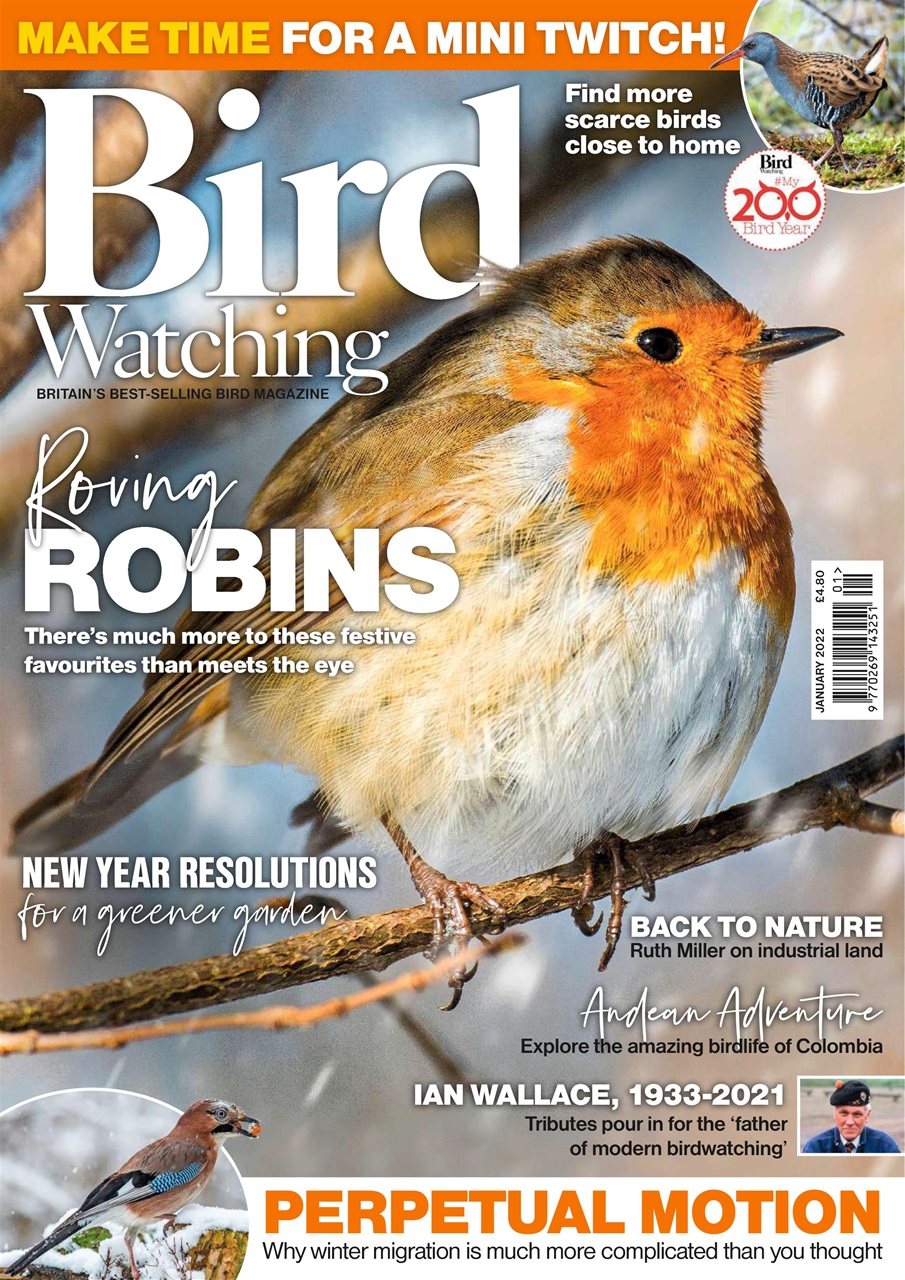 Bird Watching Preview Pages