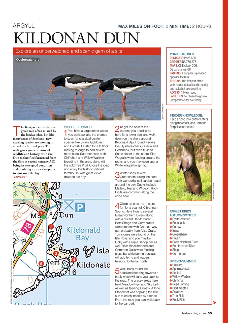 Bird Watching Preview Pages