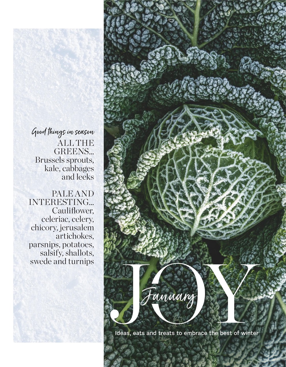 delicious. Magazine Preview Pages