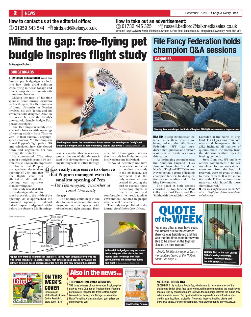 Cage & Aviary Birds Preview Pages