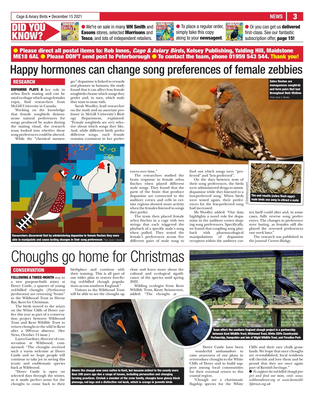 Cage & Aviary Birds Preview Pages