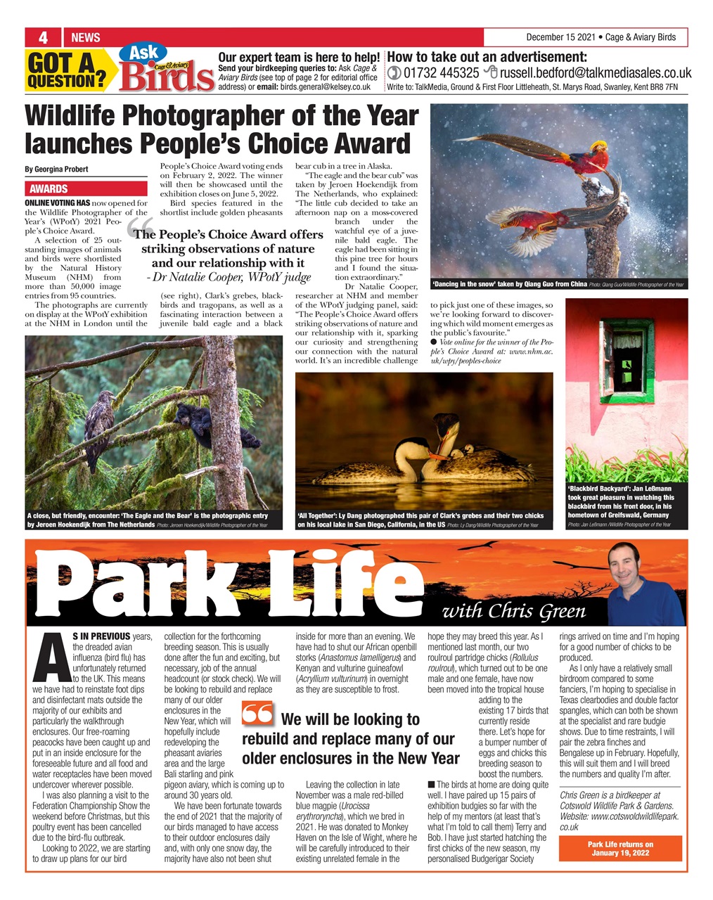 Cage & Aviary Birds Preview Pages