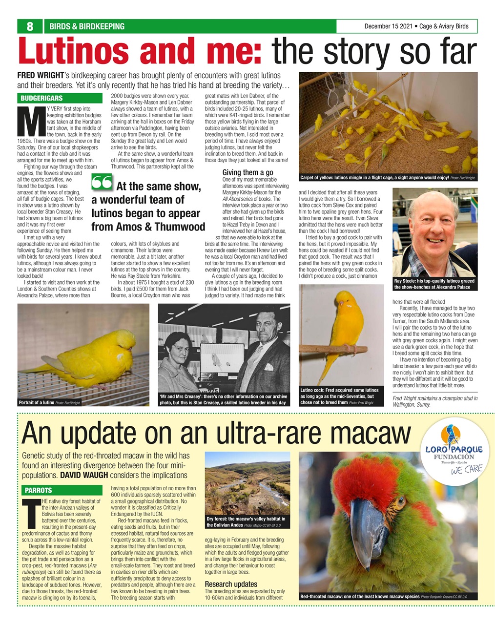 Cage & Aviary Birds Preview Pages