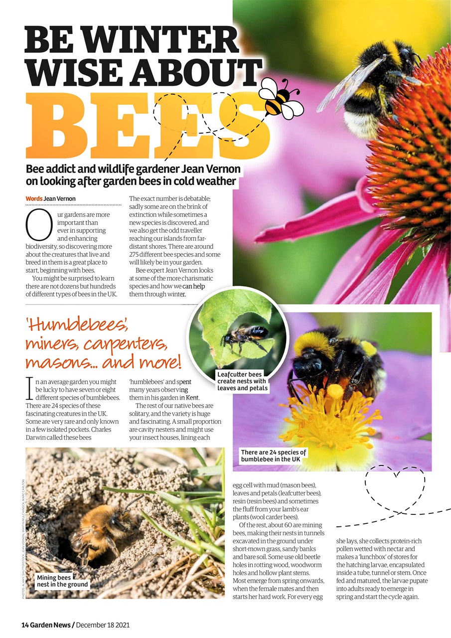 Garden News Preview Pages