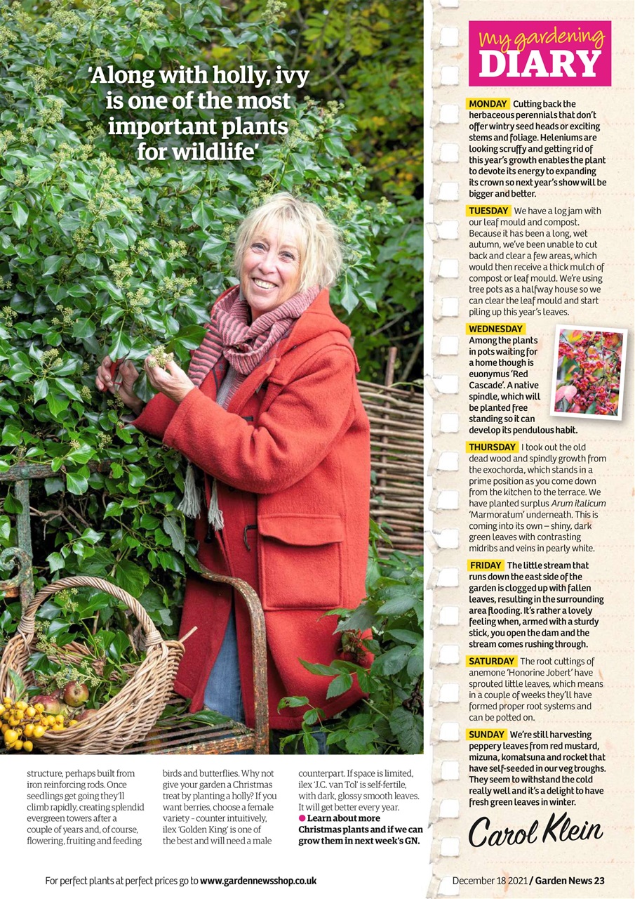 Garden News Preview Pages