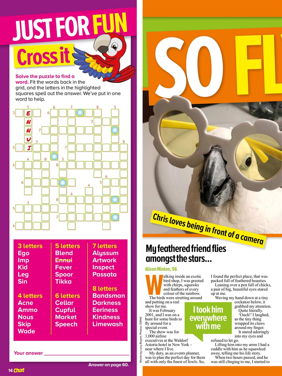 Chat Specials Preview Pages
